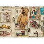 VINTAGE TOY SHELVES 70X100 BOMOART
