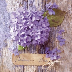 SERVILLETA 33X33CM  HORTENSIA BLEU