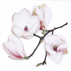 SERVILLETA 33X33CM WHITE MAGNOLIA