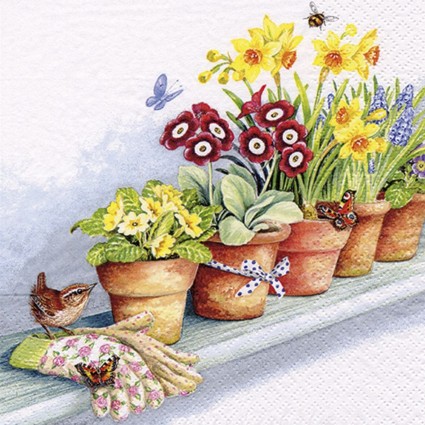 SERVILLETA 33X33CM WINDOWSILL WITH FLOWE POTS