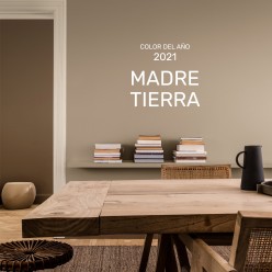PINTURA PARED MADRE TIERRA MATE COLOR 2021