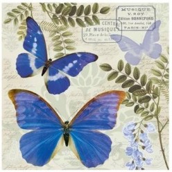 Servilleta BLUE MORPHO 33X33CM