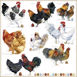 SERVILLETA 33X33CM POULETS