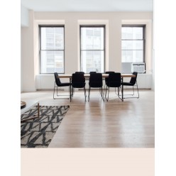 PINTURA PARED PETALO MATE COLOR 2020