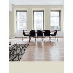 PINTURA PARED DUNA MATE COLOR 2020