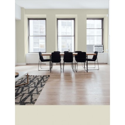 PINTURA PARED DUNA MATE COLOR 2020