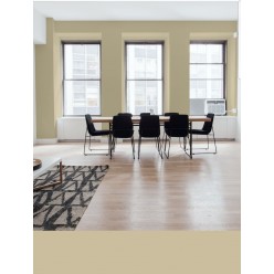 PINTURA PARED CAMEL MATE COLOR 2020