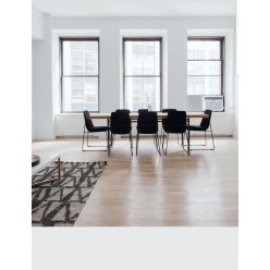 PINTURA PARED HIELO MATE COLOR 2020