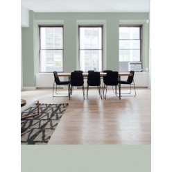 PINTURA PARED VERDE SAGE MATE COLOR 2020