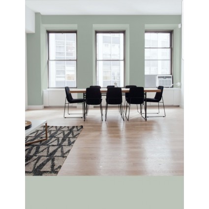 PINTURA PARED VERDE SAGE MATE COLOR 2020