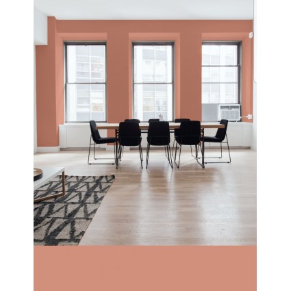 PINTURA PARED CORAL MATE COLOR 2020