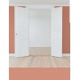 PINTURA PARED CORAL MATE COLOR 2020