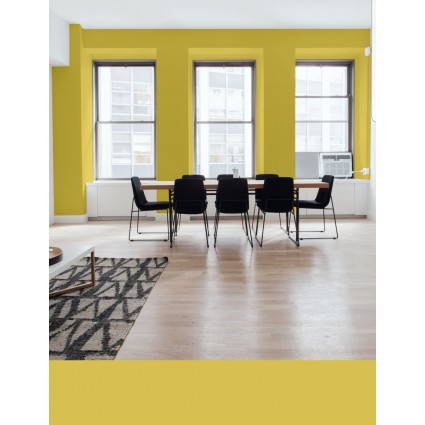 PINTURA PARED MOSTAZA MATE COLOR 2020