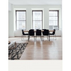 PINTURA PARED ALMENDRA MATE COLOR 2020