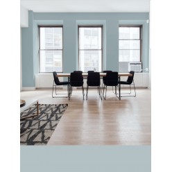 PINTURA PARED BALTICO MATE COLOR 2020