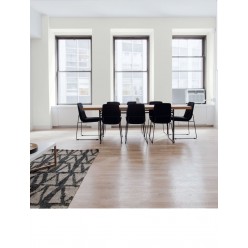 PINTURA PARED BLANCA  MATE COLOR 2020