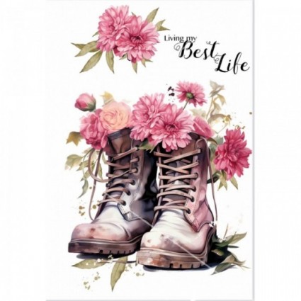 TRANSFERS BOTA CORDON CAMEL A5 T013