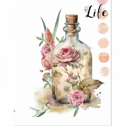 TRANSFERS PERFUMERO LIFE T019