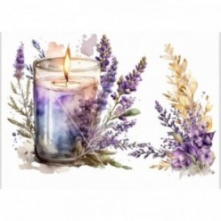 TRANSFERS VELA LAVANDA T020