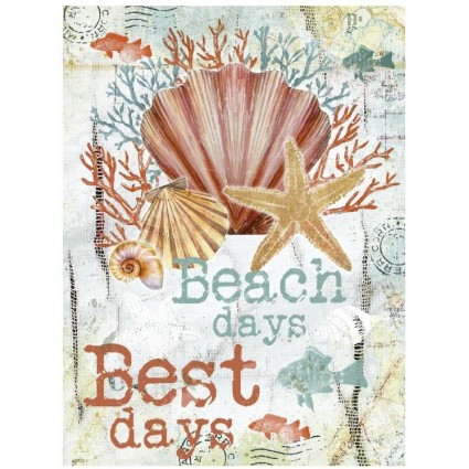 Papel de Arroz BEACH CONCHA VERTICAL 804