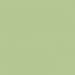 Haga click aqui para abrir la ficha de este color 