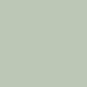 Haga click aqui para abrir la ficha de este color 