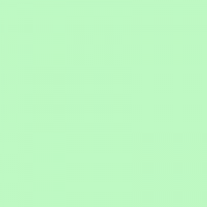 Haga click aqui para abrir la ficha de este color 