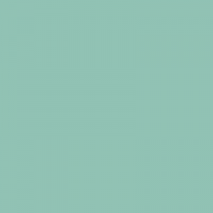 Haga click aqui para abrir la ficha de este color 